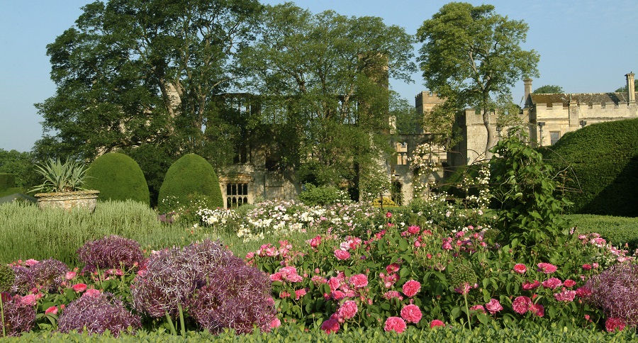 Roses at Sudeley Castle